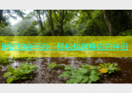 附近约会平台：轻松找到身边的伴侣