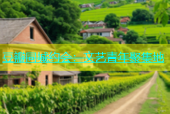 豆瓣同城约会：文艺青年聚集地