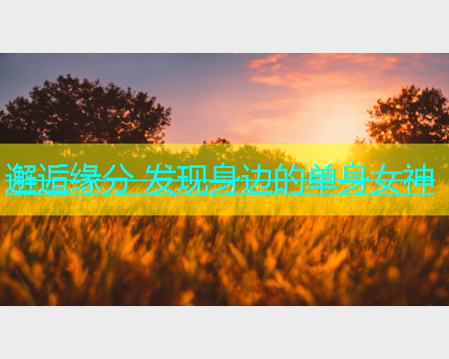 邂逅缘分 发现身边的单身女神  第2张