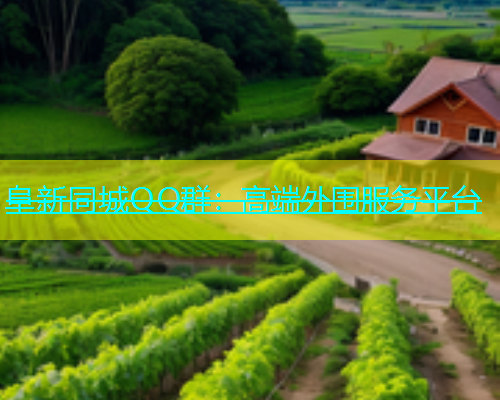 阜新同城QQ群：高端外围服务平台  第1张